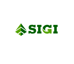 sigi777 Logo